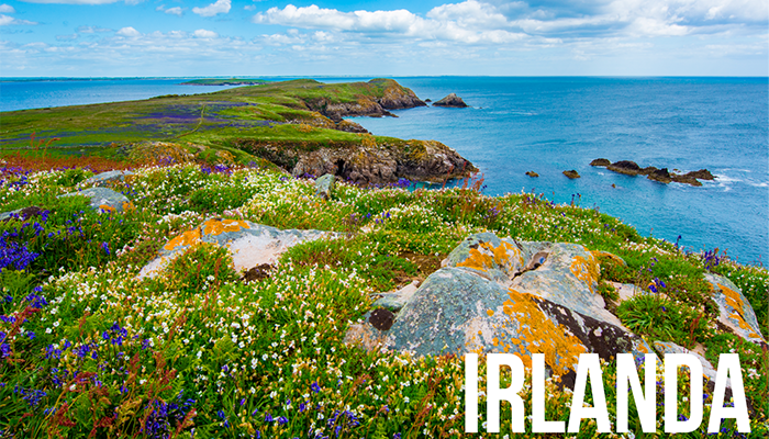 Cursos de verano para Jóvenes en Irlanda
