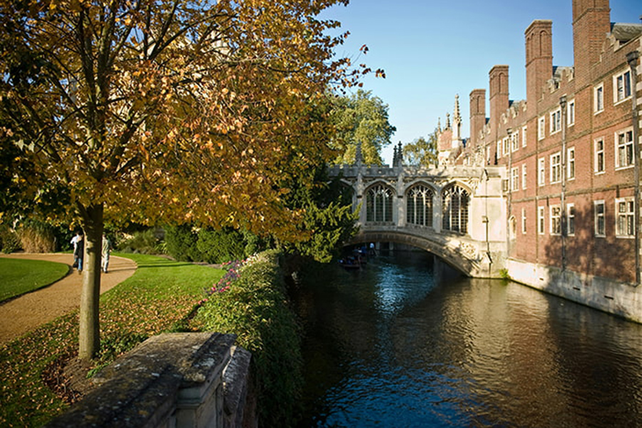Vista Cambridge UK